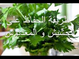 pin on plantes et jardinage