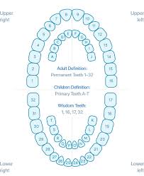 15 Bright Pediatric Tooth Chart Letters