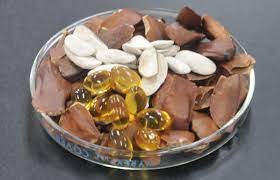 Sebagai tanaman obat, tunjuk langit memiliki khasiat untuk kesehatan. Penyelidik Utm Buktikan Minyak Buah Tunjuk Langit Punyai Potensi Rawat Pelbagai Penyakit Utm Newshub