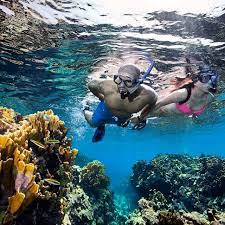 Our Favorite Snorkeling Spots Hopkins Bay Resort Belize Caribbean Travel Belize Snorkeling