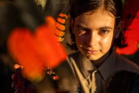 Fundraiser by Paul Jan Hilton : Save Sunrise Glossies