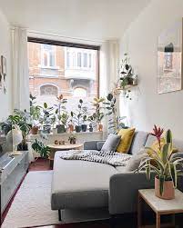 12 8 Mil Curtidas 54 Comentarios Nelson Nelplant No Instagram Reposting One Of My Favourite Pictur In 2020 Budget Home Decorating Home Decor Elegant Home Decor
