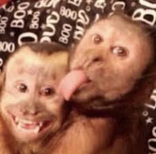 76 ideas de 2022 ZU'S VISION BOARD