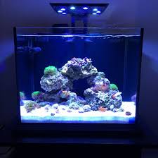Saltwater nano tanks will typically also have fish, fish with a rock aquascape, or a combination of fish, rock, and corals. Nano Build Show Off Your Nano Tank Aquascape Page 7 Reef2reef Saltwater And Reef Aquarium Forum