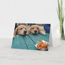 Funny Golden Retriever Dogs Birthday Wishes Card Zazzle Com Dog Birthday Wishes Golden Retriever Funny Dogs Golden Retriever