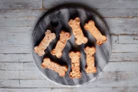 Une des vidéos de chiens à regarder sur chien.com. Archives Des Cookies Le Blog Tails Com
