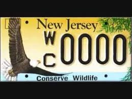 Don T Buy Conserve Wildlife License Plates It Funds Wildlife Cruelty Hunting License Plate License Plate Art Wildlife