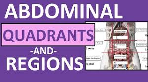 For instance, when nurses perform abdominal inspection and assessment, the abdominal region is divided into four quadrants and nine regions. Four Abdominal Quadrants And Nine Abdominal Regions Anatomy And Physiology Youtube