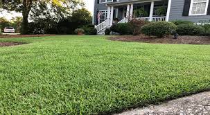 Maybe you would like to learn more about one of these? First Mow Of The Spring For Empire Sod University Sod Solutions