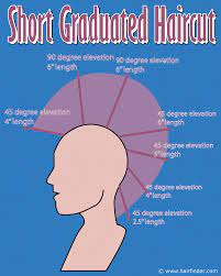 Bob Haircut Diagram Nice