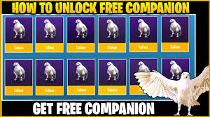 Steps to unlock falcon companion in pubg mobile lite go to the workshop section present on . Pubg Companion Use What Do Companion Does In Pubg Mobile How To Get A Companion