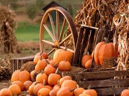 Lovepik provides 10000+ corn harvest photos in hd resolution that updates everyday, you can free download for both personal and commerical use. Harvest Display Pumpkins Gourds Haystack Corn Husks Wooden Wheel Wallpaper And Background Image 1600x1200 Id 447541 Wallpaper Abyss