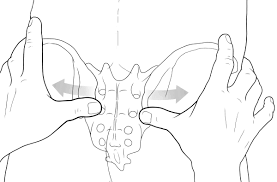 Active departments of psis semarang. Distraction Test Of The Posterior Superior Iliac Spine Psis In The Diagnosis Of Sacroiliac Joint Arthropathy Bmc Surgery Full Text