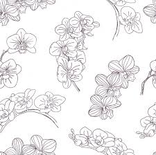 Sketsa gambar bunga hitam putih sketsa bunga tulip hitam putih wallpaper keren blog teraktual source: Terbaru 24 Gambar Bunga Bunga Hitam Putih Gambar Bunga Indah