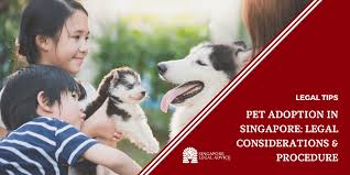 Want to make a difference and save a life? Pet Adoption In Singapore Legal Considerations Procedure Singaporelegaladvice Com