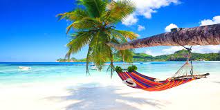 Find the perfect seychellen strand stock photo. Die 10 Schonsten Strande Der Seychellen Inkl Bilder Karte 2021