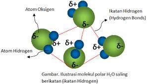 Ikatan / gaya van der waals. Macam Macam Gaya Antar Molekul Beserta Contohnya Siswapedia