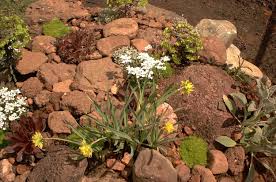 If you want an easy way to walk through your rock garden, try making a path with small pebbles. How To Build Rock Gardens For Small Spaces