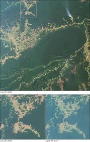 My account service change into brazil server from indiaserver. Deforestation In Brazil Wikipedia