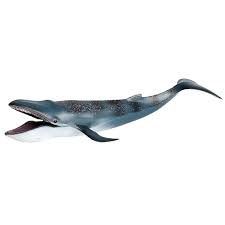 تماثيل الحوت الأزرق الواقعية الكبيرة ، ألعاب الحمام البلاستيكية ، حيوانات  البحر ، نموذج عائم على الماء ، ألعاب أعياد الميلاد للأطفال - AliExpress