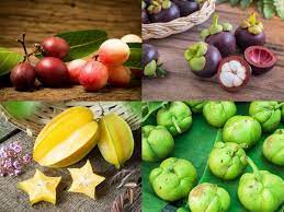 Jun 20, 2021 · popular female dog names. Unbelievable Fruit Facts Rare Indian Fruits That You Need To Know About