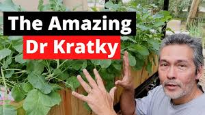 Nothing to brag about for sure, but it was the biggest pumpkin i've eve. Dr Kratky Kratky Method Hydroponics Diy Youtube