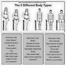 Maybe you would like to learn more about one of these? Httpswww Facebookcomdietfitnessnutrition The 3 Different Body Types A Ectomorph Traits Mesomorph Traits Endomorph Traits Small Delicate Athletic Soft Round Body Framebone Structure Generally Hard Body Gains Muscle Fat Easily Flat Chest