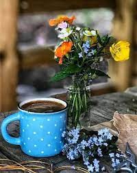 Sai Qual E La Cosa Piu Grande Che Puoi Possedere La Serenita Interiore Perche E Quel Qualcosa Che Ti Permette Di Coffee Drinkers Coffee Vs Tea Chocolate Tea