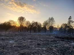 Meeting held at 7:00pm***colfax township hall, 4960 n. Wildfire Burns 425 Acres In Northern Michigan As Firefighters Continue Battle Mlive Com