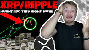 The ripple payment protocol was created in late 2012 and has been on a constant uptrend ever since as adoption and awareness continues to increase. Xrp Ripple Holders Hurry Do This Before Everyone Does Xrp Did Exactly What We Predicted Youtube