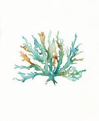 Beach Print Beach Art Coral Print Wall Art Watercolor Etsy Coral Art Coral Watercolor Watercolor Printable Art