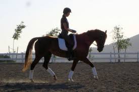 Over 100,000 english translations of spanish words and phrases. Horseback Riding In San Luis Obispo California San Luis Obispo County