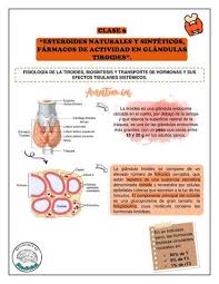 Resúmenes de Cortisol