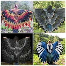 Rablein Alternative Flugel Statt Der Aufwendigen Einzelnen Federn Vogel Kostum Kostumvorschlage