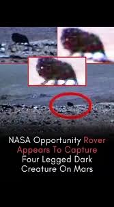 Did NASA's Opportunity Rover Capture a Mysterious Four-Legged Creature on Mars? 👽🔴 A strange dark, four-legged figure appears in images captured by NASA's Opportunity Rover on Mars, leaving the internet shocked. Some