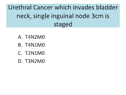 This conflict, known as the space race, saw the emergence of scientific discoveries and new technologies. Oncology Quiz With Answers