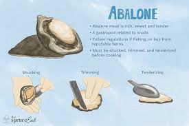 Via spanish abulón, from rumsen aulón) is a common name for any of a group of small to very large marine gastropod molluscs in the family haliotidae. What Is Abalone And How Is It Used