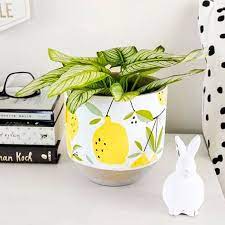 Lemon cut in half ceramic tile coaster (set of 4) by ebern designs. Linen Chest Cement Lemon Planter Painted Pots Diy Plant Pot Design Painted Plant Pots
