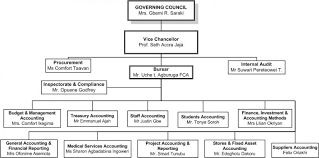 Financial Management And Accounting Organizational Chart