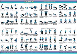 free workout exercise poster tamar fitness wellness beauty