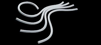 نتیجه جستجوی لغت [graft] در گوگل