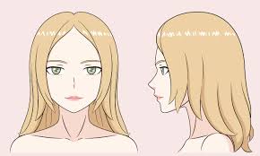The fact is that in the anime there are a huge variety of how to draw noses. Anime Female Nose Front View