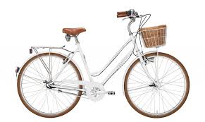 Excelsior Glorious Ist Preis Leistungs Sieger In Bike Bild 5 2019 Hartje Kg Hoya