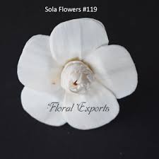 60% off retail price for sola wood flowers. Sola Wood Flowers I Sola Flowers I Manufacturer I Wholesaler I Exporters