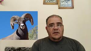 Nov 10, 2020 · رؤية اللحم في المنام من الرؤى التي تتكرر كثيراً في منام العديد من الأشخاص حيث أن رؤية الطعام من الرؤى الشائعة والتي تختلف دلالتها من شخص لآخر، ويبحث كثير من الأشخاص عن معرفة معنى هذه الرؤية وما تحمله من خير أو شر. ØªÙØ³ÙŠØ± Ø­Ù„Ù… Ø±Ø¤ÙŠØ© Ø§Ù„ÙƒØ¨Ø´ Ù„Ù„Ø±Ø¬Ù„ ÙˆØ§Ù„Ø¹Ø²Ø¨Ø§Ø¡ ÙˆØ§Ù„Ù…ØªØ²ÙˆØ¬Ø©