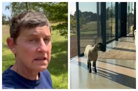 Ellen DeGeneres gives rare glimpse inside her Cotswolds home after UK move 