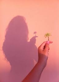 35 New Ideas Flowers Love Aesthetic Flowers Instagram Photography Tumblr Photography Creative Photography