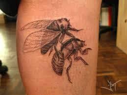 Lotus tattoo designs are taking the millennial generation by storm and also the older read on for 103 astounding lotus flower tattoo designs to ignite your inspiration when. What Does Cicada Tattoo Mean Represent Symbolism