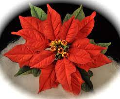 Poinsettia Flowers Poinsettia Christmas Cake Sugar Flowers