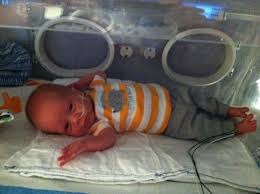 MICHAEL SECOR Obituary (2014)